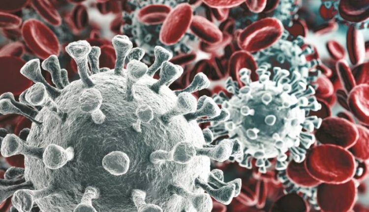 فيروس كورونا