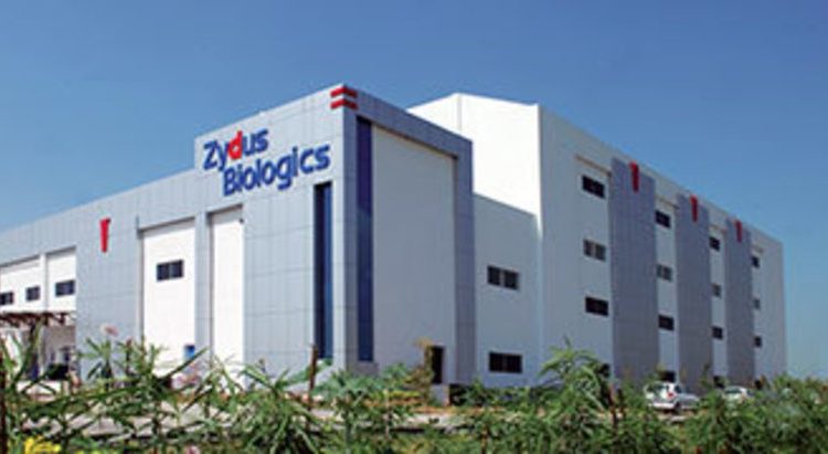 شعار شركة Zydus الهندية للأدوية