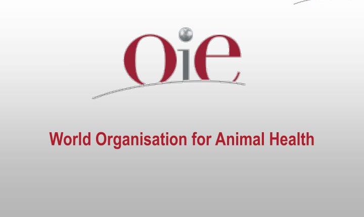 شعار المنظمة العالمية لصحة الحيوان