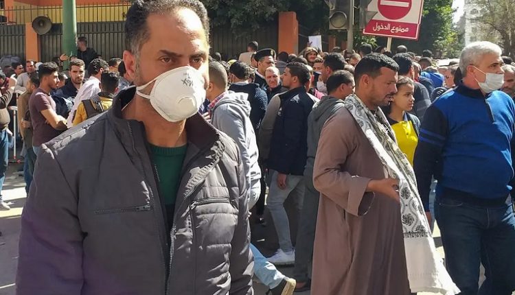 كورونا في مصر