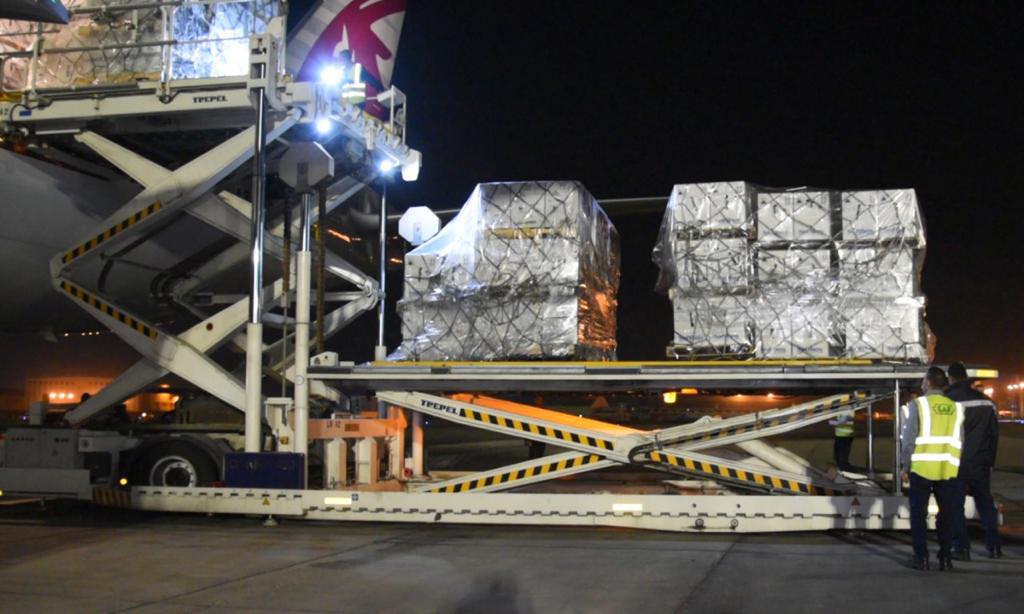 مصر تستقبل شحنة جديدة من لقاح فايزر