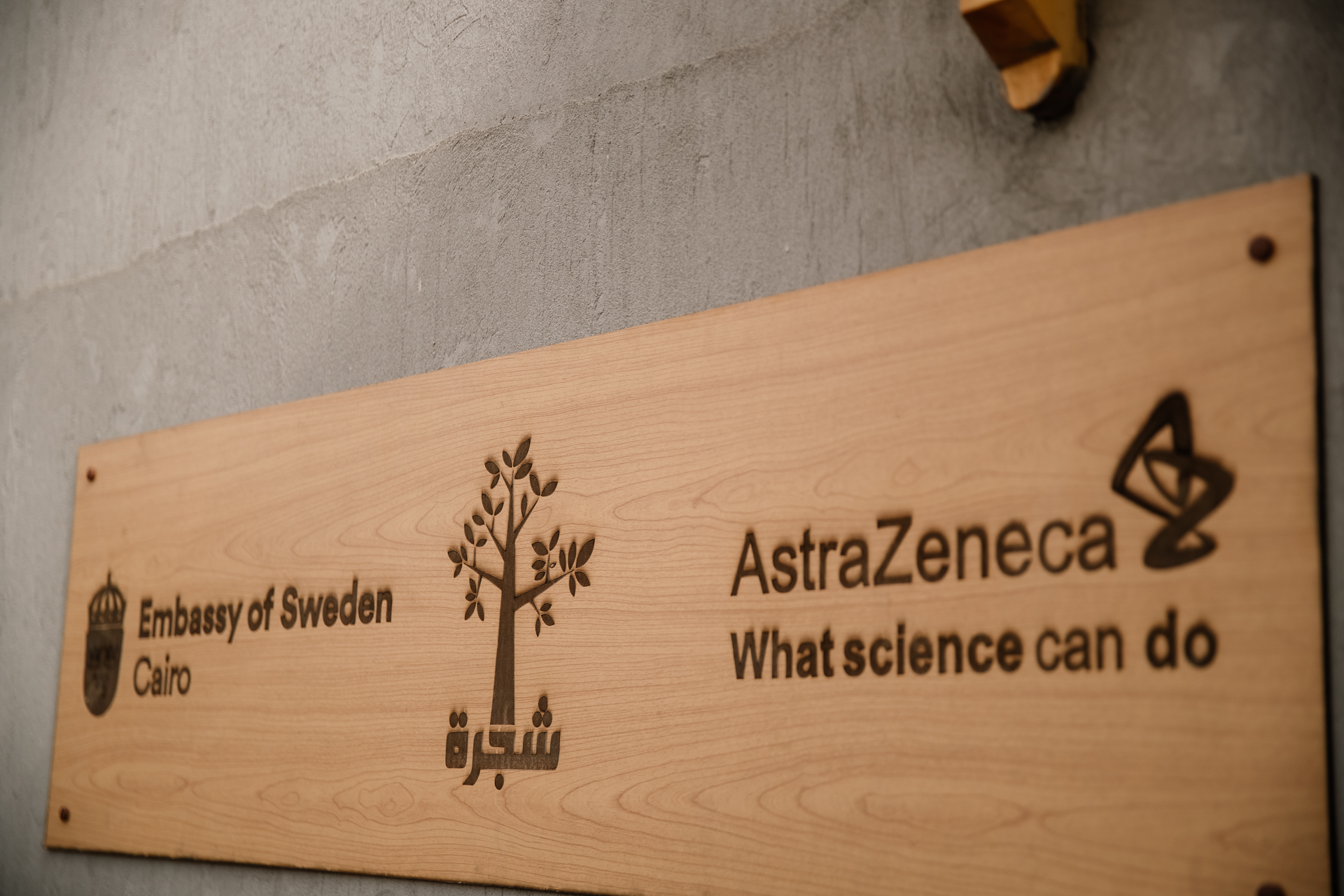 شركة أسترازينيكا مصر للأدوية 1