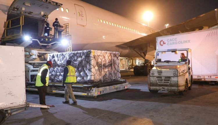 مصر تستقبل شحنات جديدة من لقاح أسترازينيكا