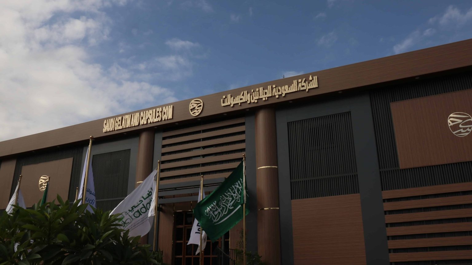 السعودية تستهدف إنتاج 3.3 مليار كبسولة جيلاتين حلال في 2026 الشركة السعودية للجيلاتين والكبسولات