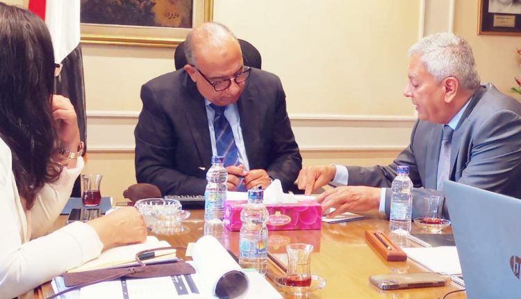 وزير قطاع الأعمال خلال لقائه رئيس القابضة للأدوية - أرشيفية