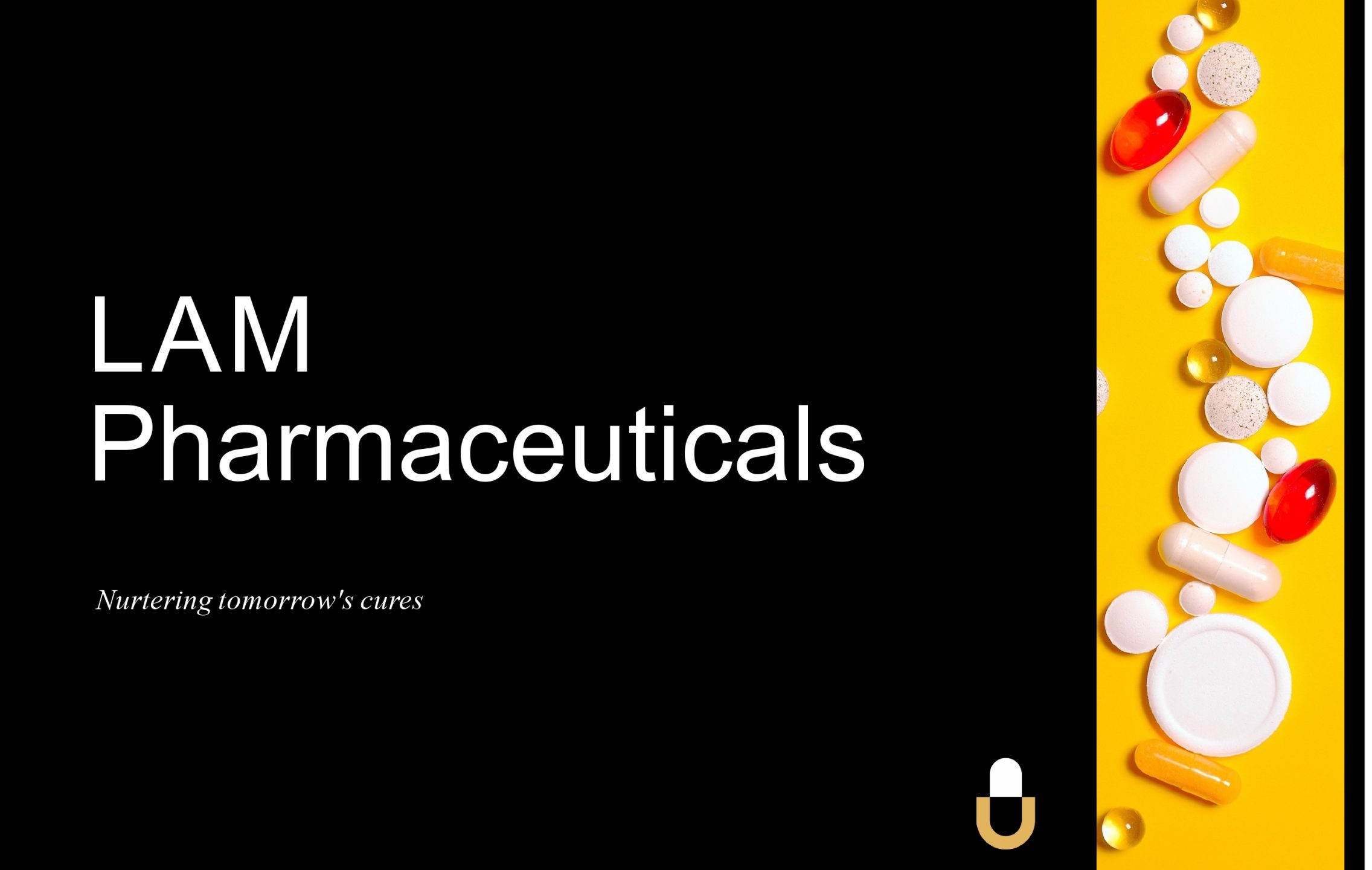 «لام فارما» تدعو شركات الأدوية العربية والعالمية للاستثمار في مدينة الدواء العراقية