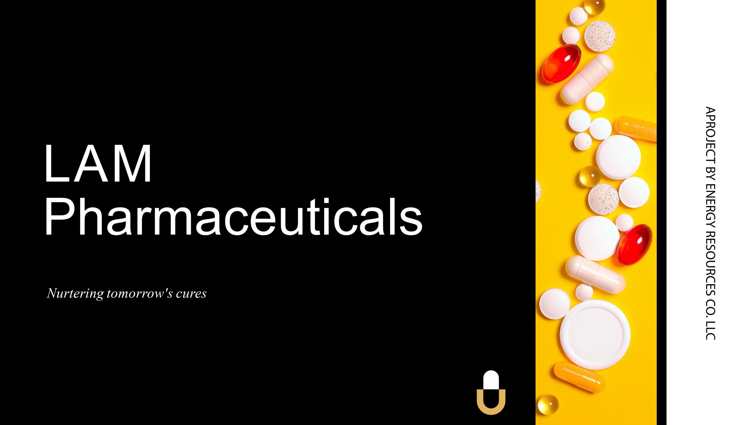 تحالف «مدينة لام فارما – موارد الطاقه للاستثمار الدوائي» يوقع اتفاقية شراكة مع شركة أدوية عالمية لإنتاج مجموعة من الأدوية الحيوية بالسوق العراقية