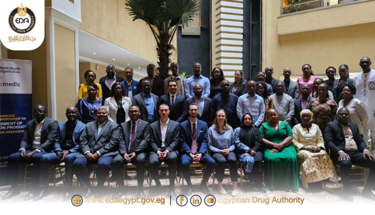 المشاركون في ورشة العمل بأديس أبابا