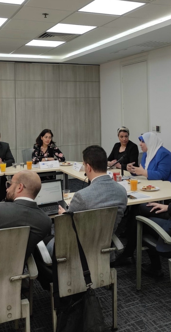 «الغرفة الألمانية» تنظم مائدة مستديرة حول الملكية الفكرية للأدوية في مصر