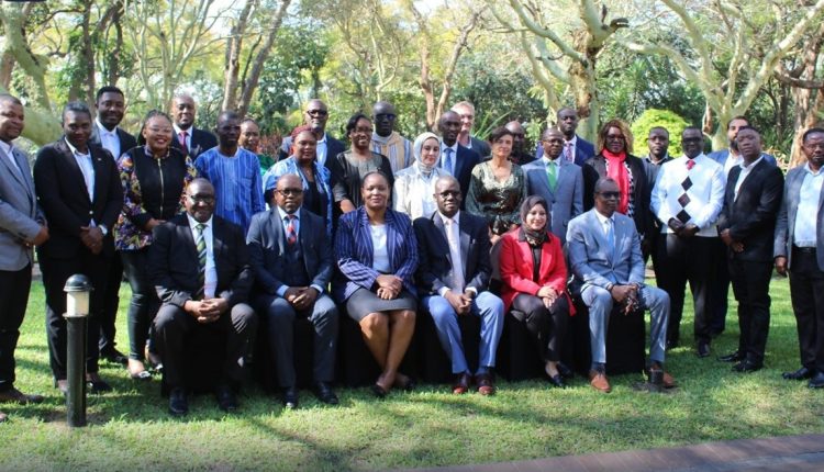 جانب من الفعاليات