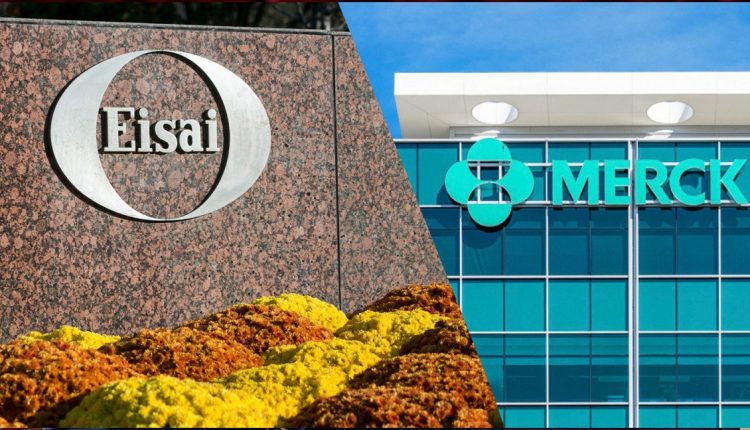 ميرك وإيساي