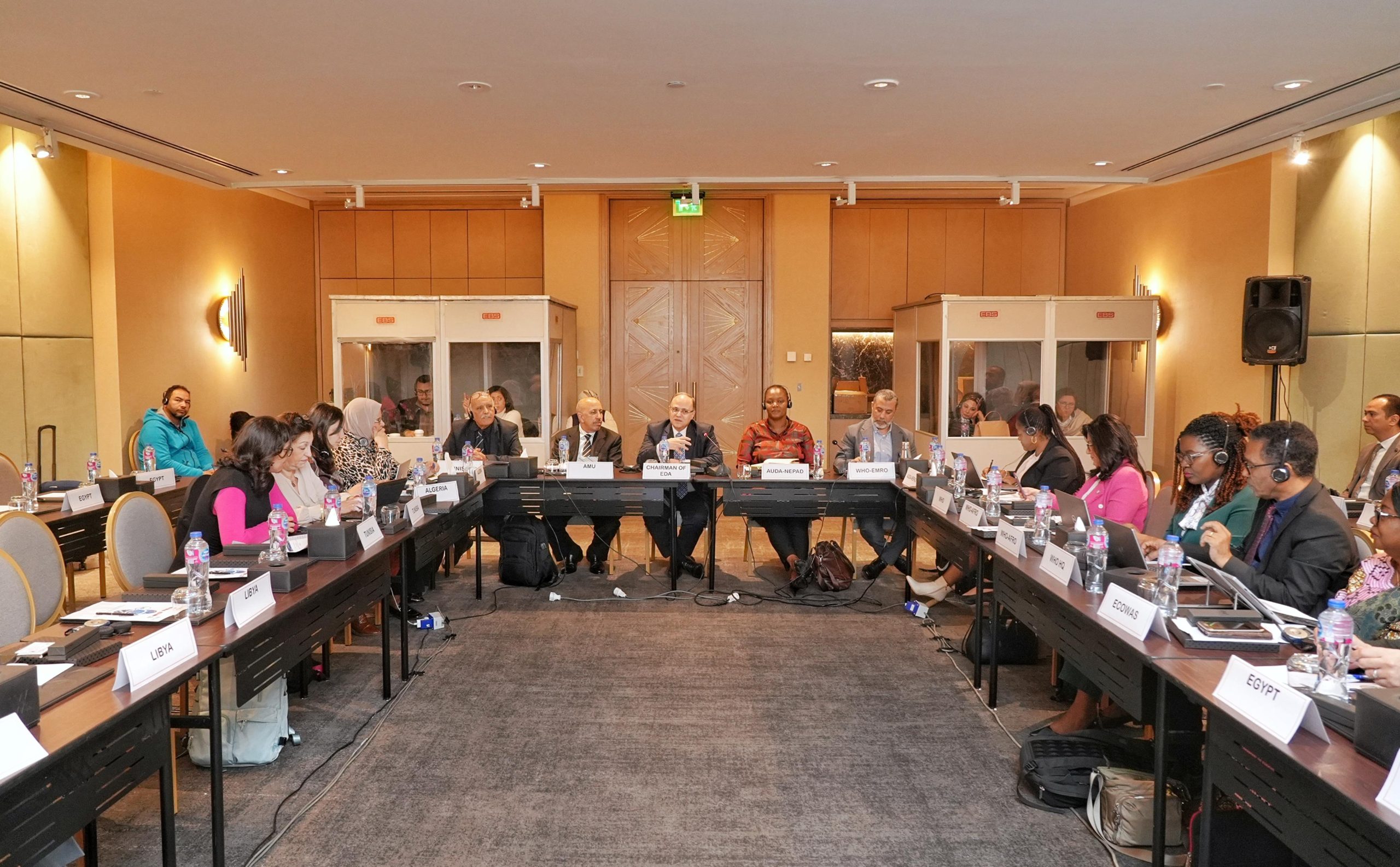 هيئة الدواء المصرية تفوز برئاسة الهيئات التنظيمية الدوائية في دول شمال أفريقيا لمدة 3 سنوات