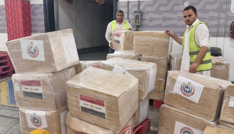 شحنة الأدوية والمستلزمات الطبية