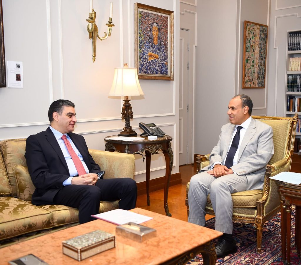 وزير الخارجية يلتقي رئيس هيئة الشراء الموحد لبحث التعاون في مجال تصدير الدواء إلى إفريقيا