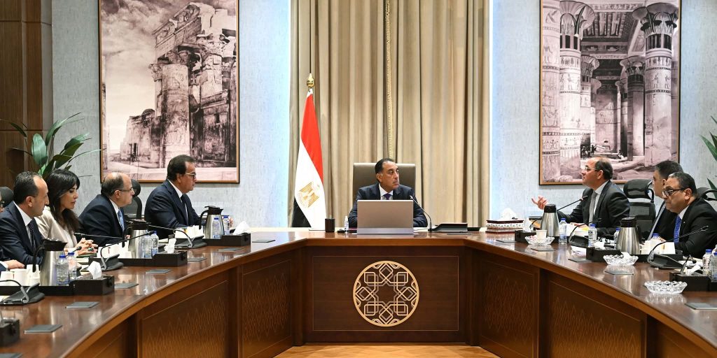 رئيس الوزراء يتابع جهود دعم وتوطين «صناعة الدواء» في مصر