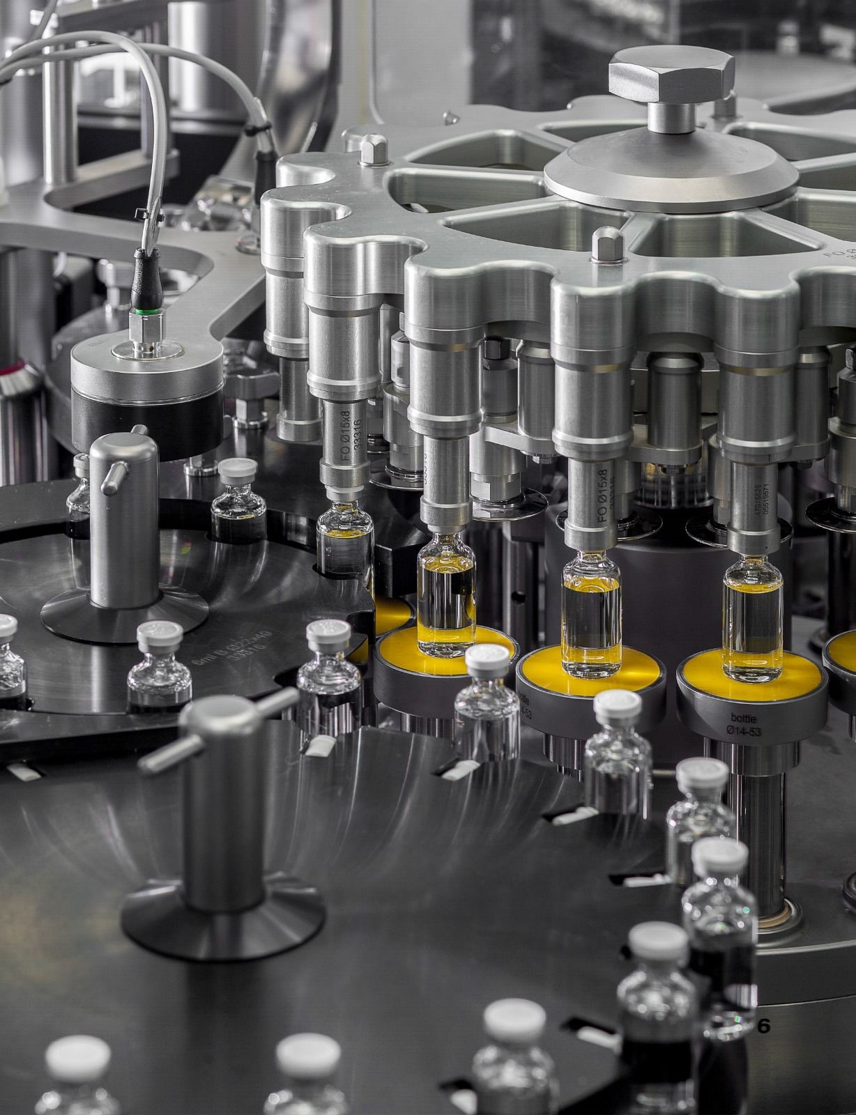 «إيفا فارما تدخل «جينيس» بأطول عبارة من العبوات الدوائية في العالم 