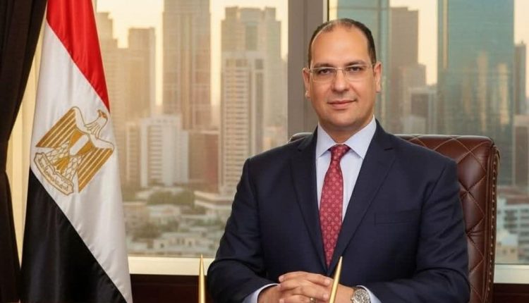 الدكتور النائب أحمد إدريس عضو مجلس الشيوخ