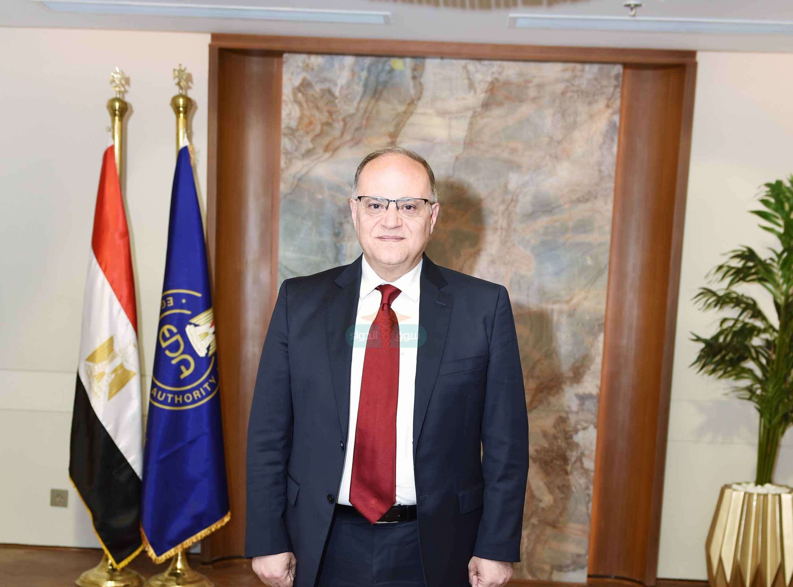 الدكتور علي الغمراوي رئيس هيئة الدواء المصرية 