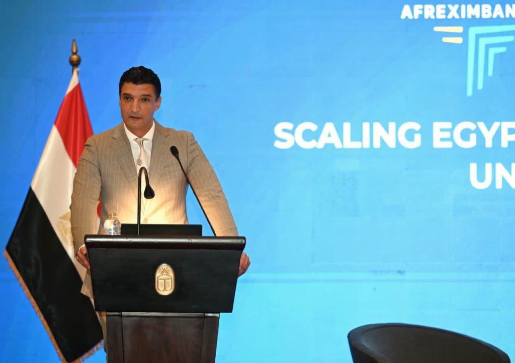 وزير الصناعة : المكونات الدوائية الفعالة وأدوية الأورام والأنسولين ضمن أولويات تعميق التصنيع المحلي