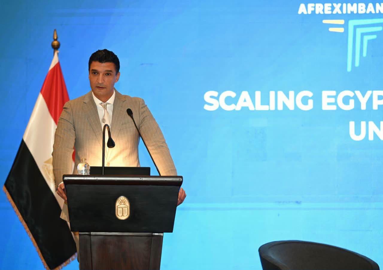 وزير الصناعة : المكونات الدوائية الفعالة وأدوية الأورام والأنسولين